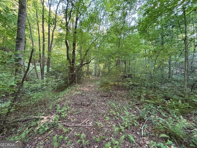 LOT 6 Mt Springer Road, Ellijay, GA 30540