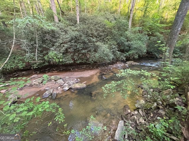 LOT 6 Mt Springer Road, Ellijay, GA 30540