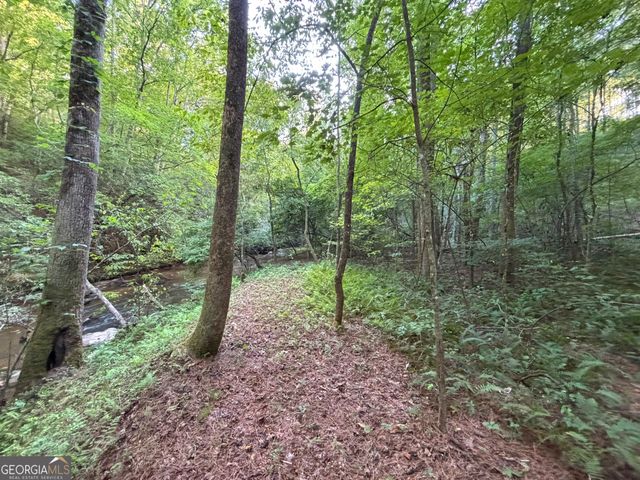 LOT 6 Mt Springer Road, Ellijay, GA 30540