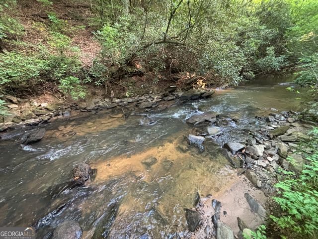 LOT 6 Mt Springer Road, Ellijay, GA 30540