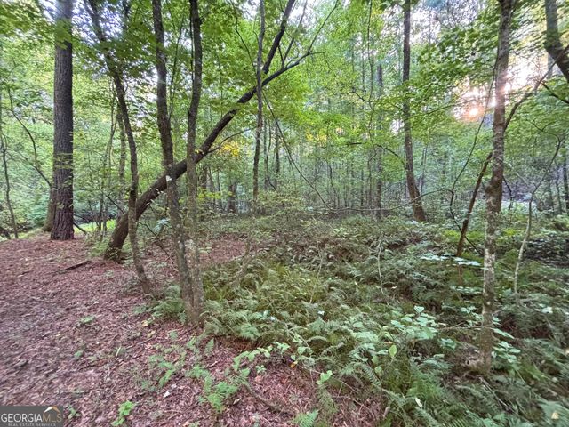 LOT 6 Mt Springer Road, Ellijay, GA 30540