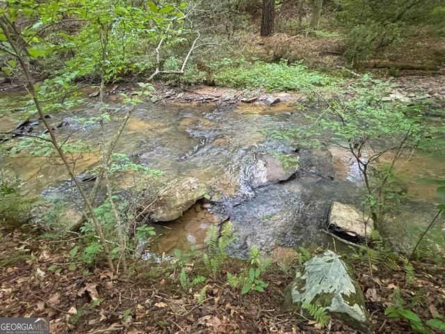 LOT 6 Mt Springer Road, Ellijay, GA 30540