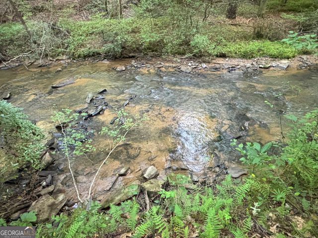 LOT 6 Mt Springer Road, Ellijay, GA 30540