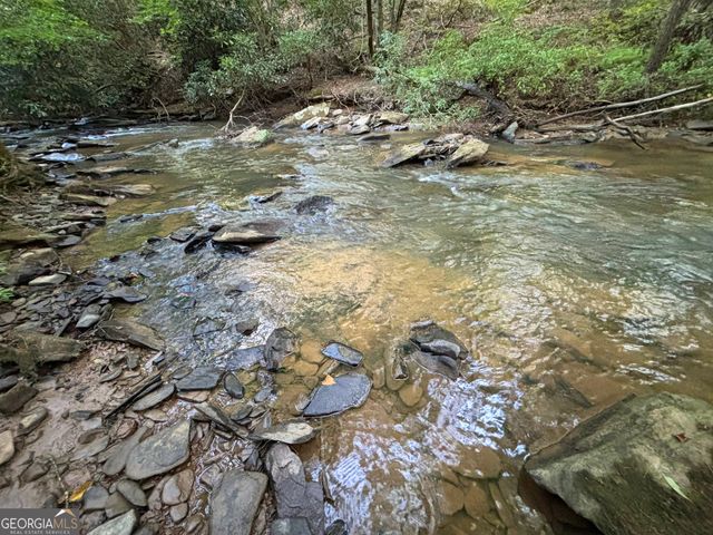 LOT 6 Mt Springer Road, Ellijay, GA 30540