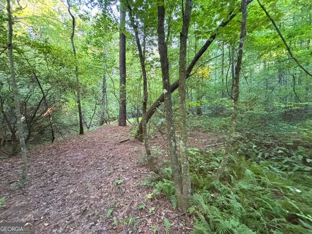 LOT 6 Mt Springer Road, Ellijay, GA 30540