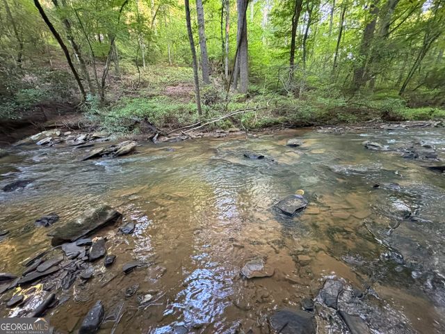 LOT 6 Mt Springer Road, Ellijay, GA 30540