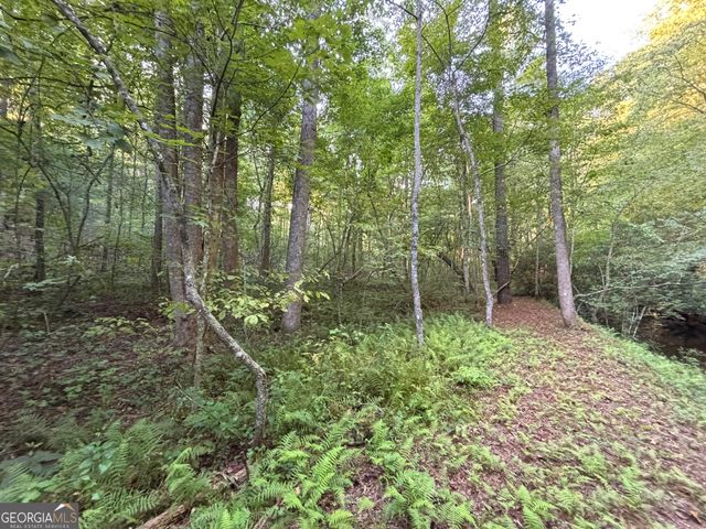 LOT 6 Mt Springer Road, Ellijay, GA 30540