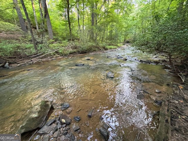 LOT 6 Mt Springer Road, Ellijay, GA 30540