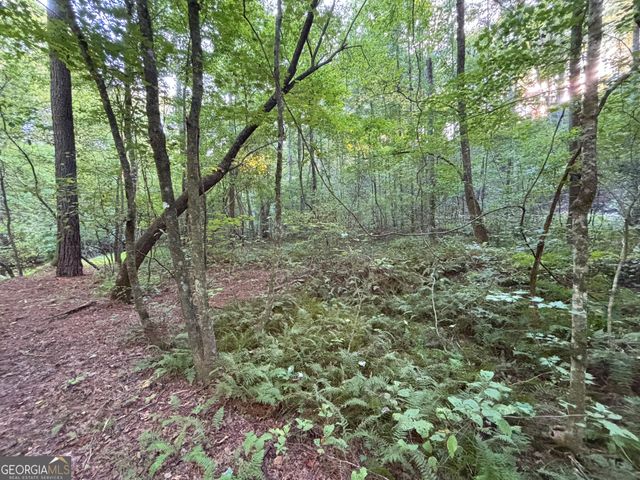 LOT 6 Mt Springer Road, Ellijay, GA 30540