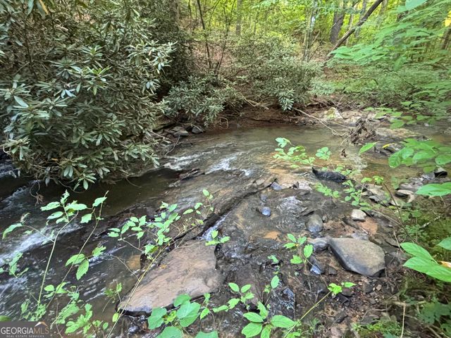 LOT 6 Mt Springer Road, Ellijay, GA 30540