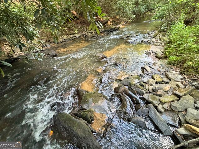 LOT 6 Mt Springer Road, Ellijay, GA 30540