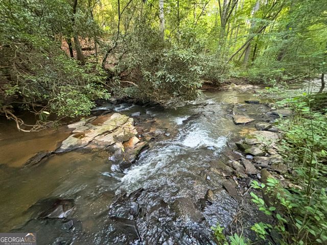 LOT 6 Mt Springer Road, Ellijay, GA 30540