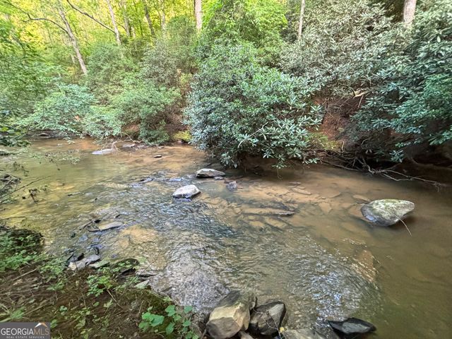 LOT 6 Mt Springer Road, Ellijay, GA 30540