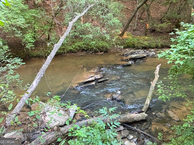 LOT 6 Mt Springer Road, Ellijay, GA 30540