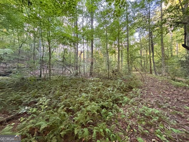 LOT 6 Mt Springer Road, Ellijay, GA 30540