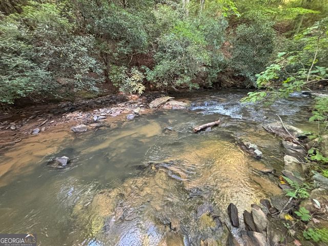 LOT 6 Mt Springer Road, Ellijay, GA 30540