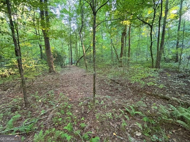 LOT 6 Mt Springer Road, Ellijay, GA 30540