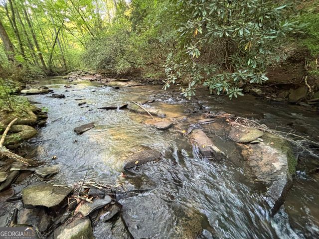 LOT 6 Mt Springer Road, Ellijay, GA 30540