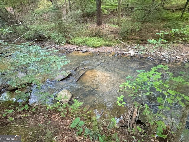LOT 6 Mt Springer Road, Ellijay, GA 30540