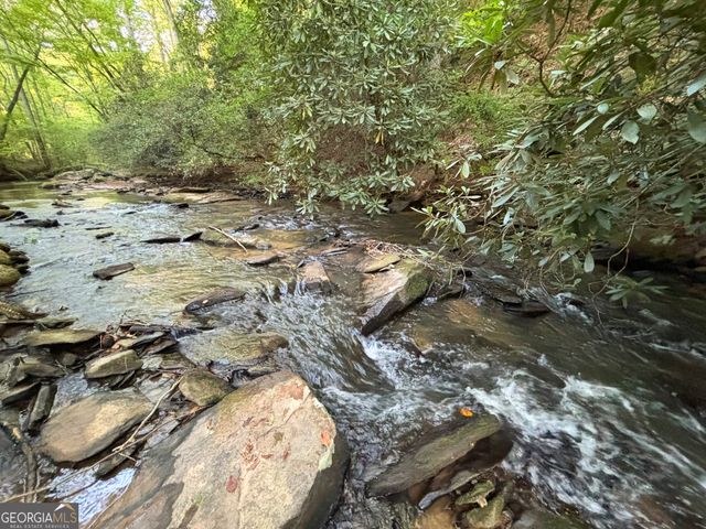 LOT 6 Mt Springer Road, Ellijay, GA 30540