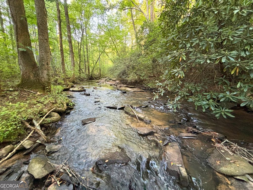 LOT 6 Mt Springer Road, Ellijay, GA 30540