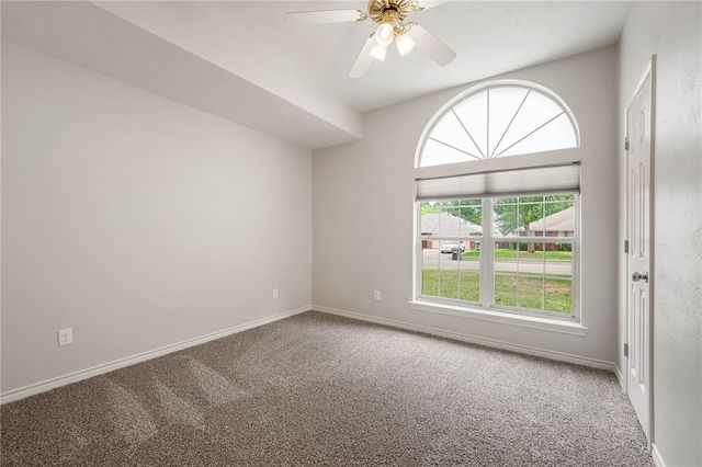 3988 Windfree Drive, College Station, TX 77845