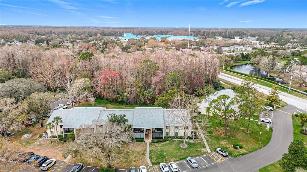 1354 SHADY PINE WAY E2, Tarpon Springs, FL 34688