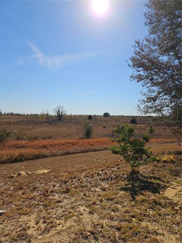 4509 POWDERHORN PLACE DRIVE, Clermont, FL 34711