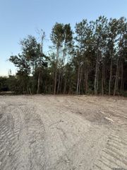 17273 Jack Allen Rd, Livingston, LA 70754