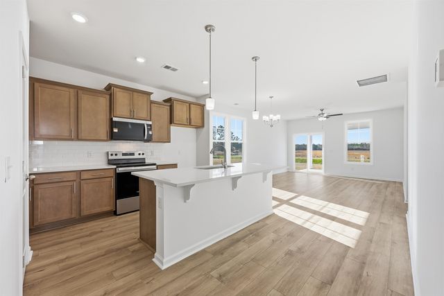 176 River Birch Dr., Loris, SC 29569