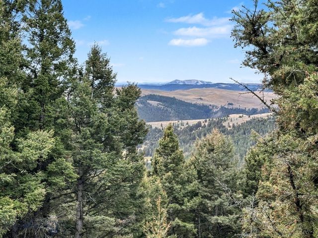 30 Bunks Trail, Ennis, MT 59729