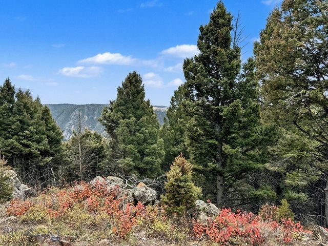 30 Bunks Trail, Ennis, MT 59729