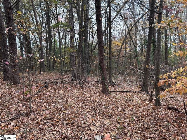 11 Pleasant Grove Drive, Greenville, SC 29611