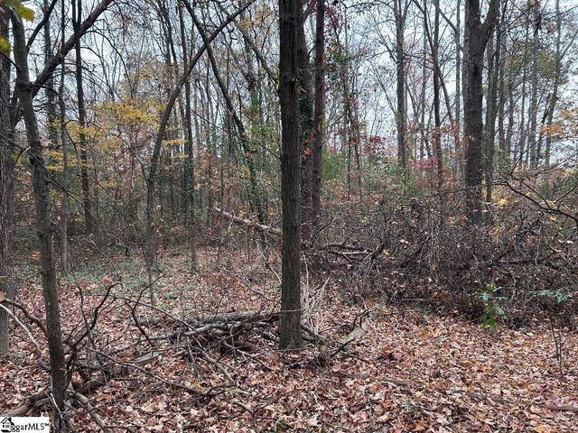 11 Pleasant Grove Drive, Greenville, SC 29611