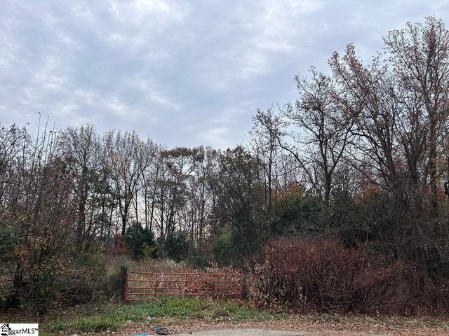 11 Pleasant Grove Drive, Greenville, SC 29611