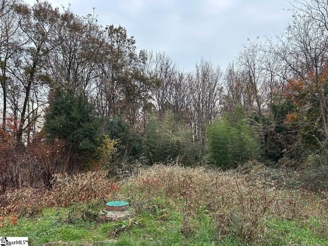 11 Pleasant Grove Drive, Greenville, SC 29611