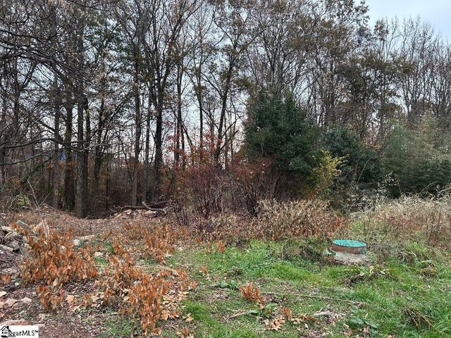 11 Pleasant Grove Drive, Greenville, SC 29611