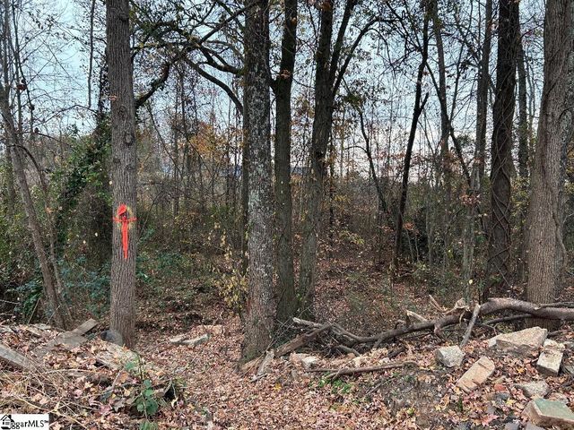 11 Pleasant Grove Drive, Greenville, SC 29611