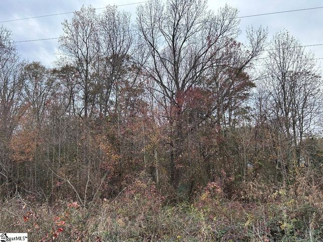 11 Pleasant Grove Drive, Greenville, SC 29611