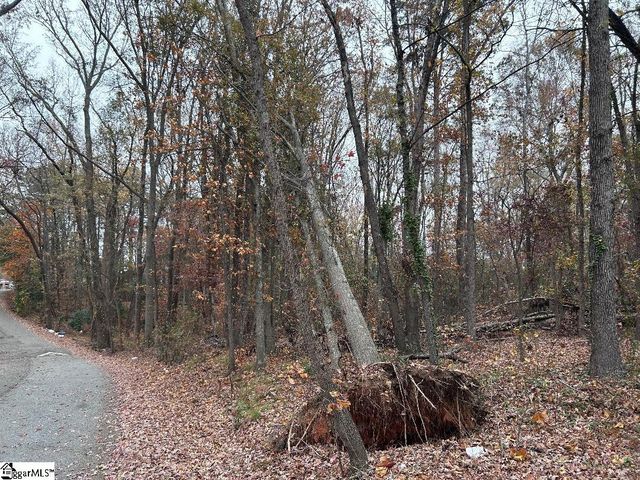 11 Pleasant Grove Drive, Greenville, SC 29611