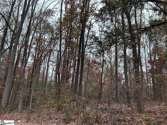 11 Pleasant Grove Drive, Greenville, SC 29611