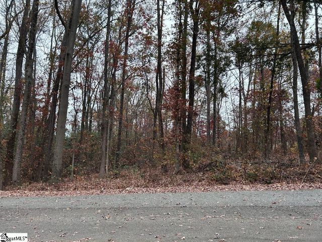 11 Pleasant Grove Drive, Greenville, SC 29611