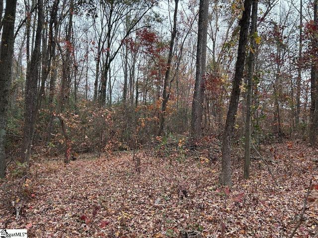 11 Pleasant Grove Drive, Greenville, SC 29611