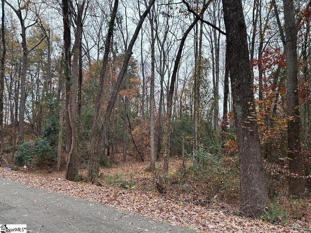 11 Pleasant Grove Drive, Greenville, SC 29611