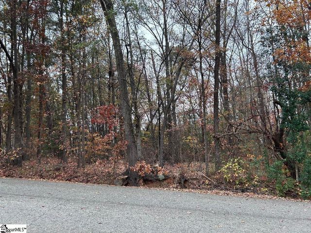 11 Pleasant Grove Drive, Greenville, SC 29611