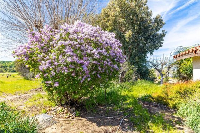 5335 Monterey, Paso Robles, CA 93446