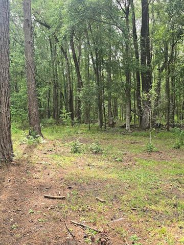 6210 Smoak Retreat Road, Adams Run, SC 29426