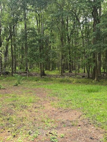 6210 Smoak Retreat Road, Adams Run, SC 29426