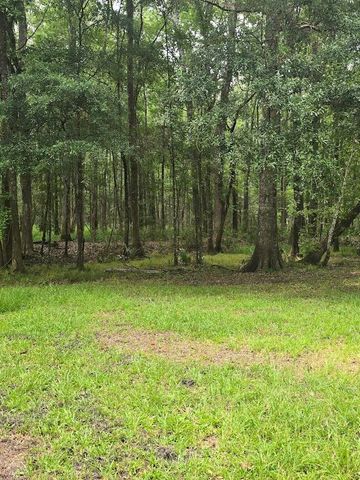 6210 Smoak Retreat Road, Adams Run, SC 29426