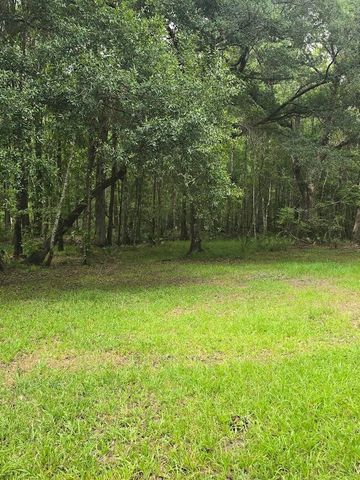 6210 Smoak Retreat Road, Adams Run, SC 29426